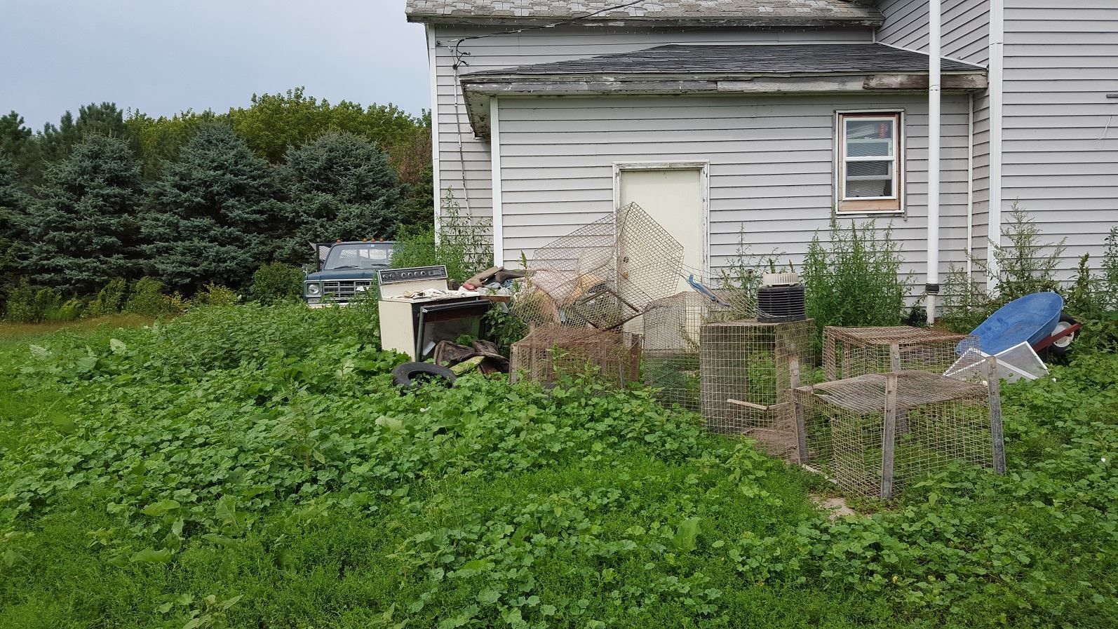 puppy_mill01.jpg